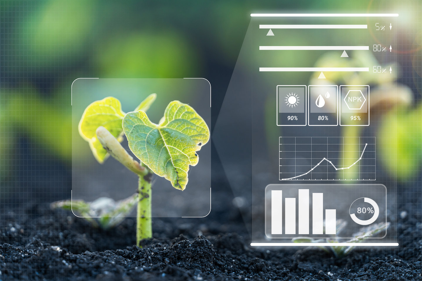 Plant growth control
