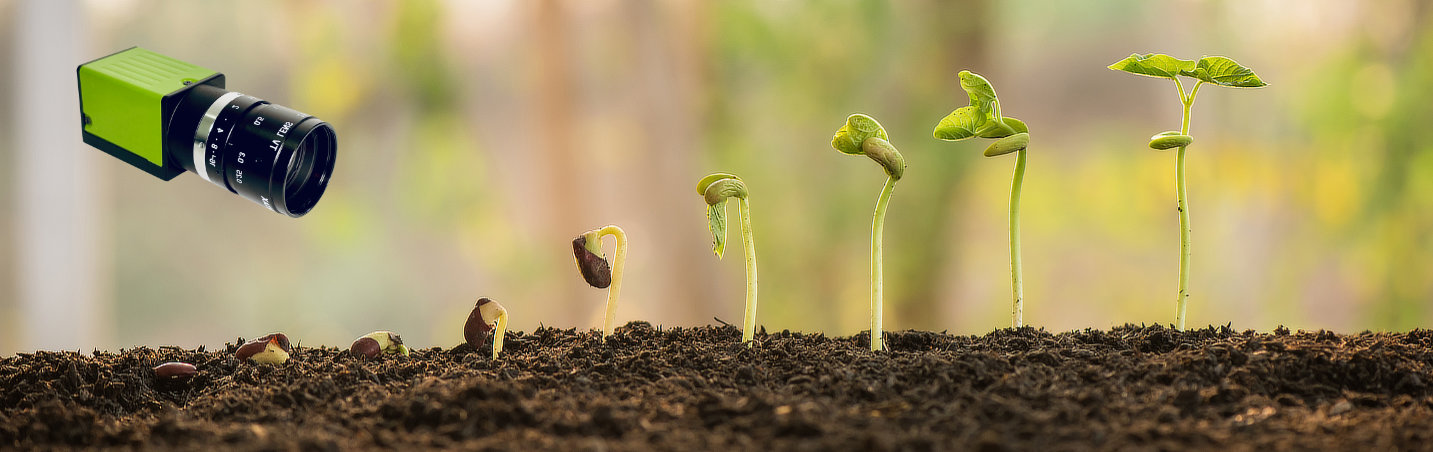 Camera-based plant growth monitoring