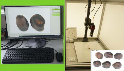 Test bench for measuring plants for a gene bank